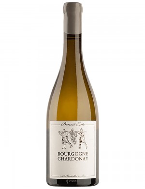 Benoît Ente, Bourgogne Blanc, 2020, 750 ml