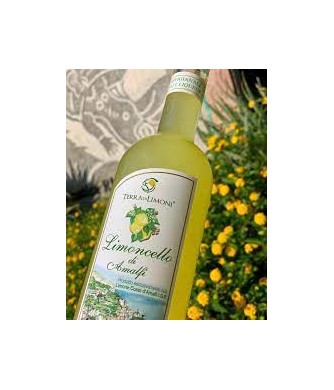 Limoncello - Terra di Limoni