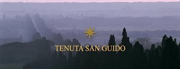 Tenuta San Guido