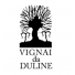 Vignai da Duline